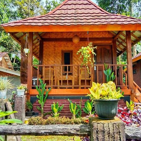 Pondok Rinjani Bungalow טטבאטו מראה חיצוני תמונה