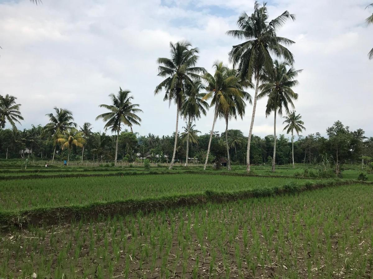 Pondok Rinjani Bungalow טטבאטו מראה חיצוני תמונה