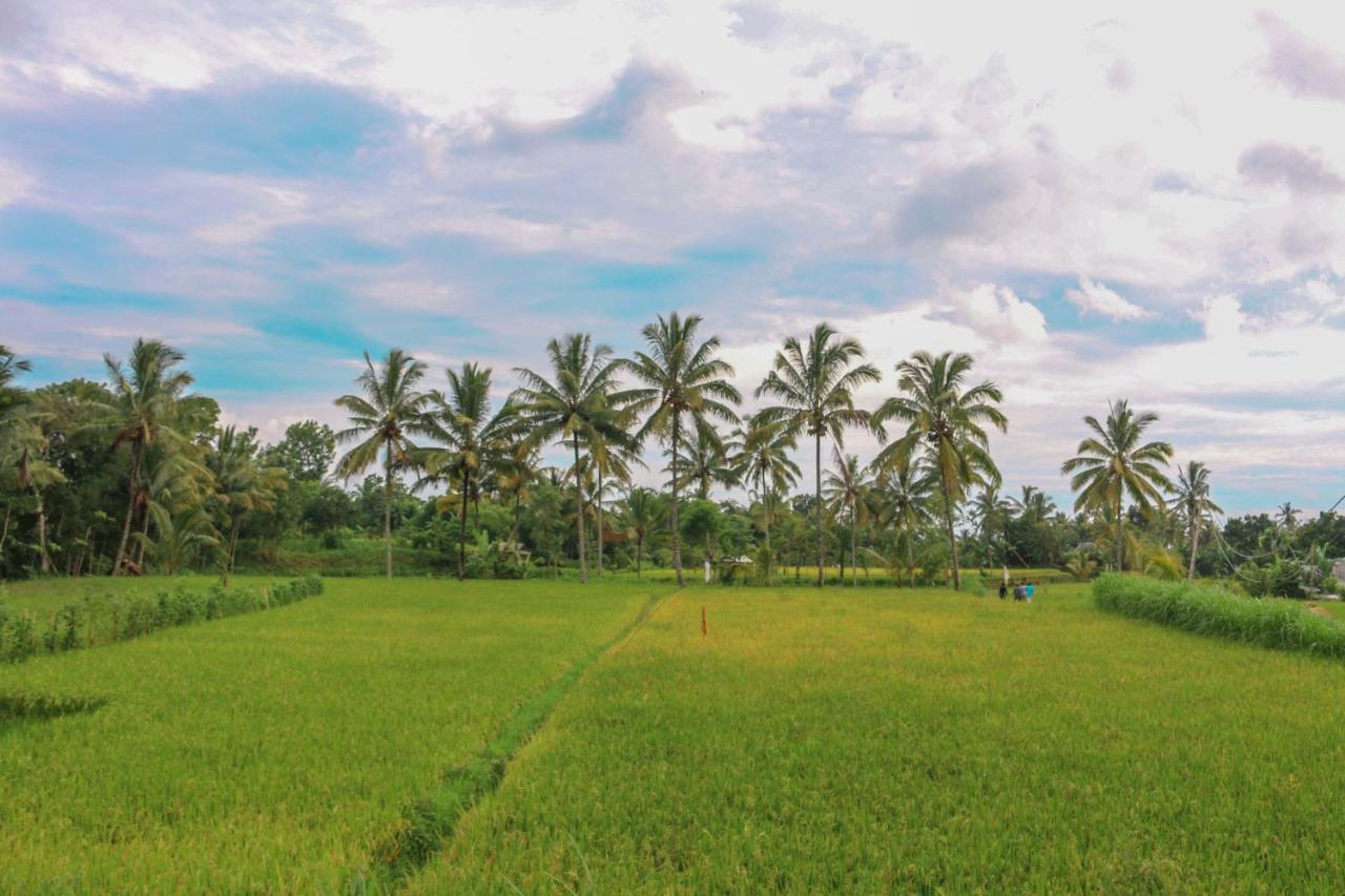 Pondok Rinjani Bungalow טטבאטו מראה חיצוני תמונה
